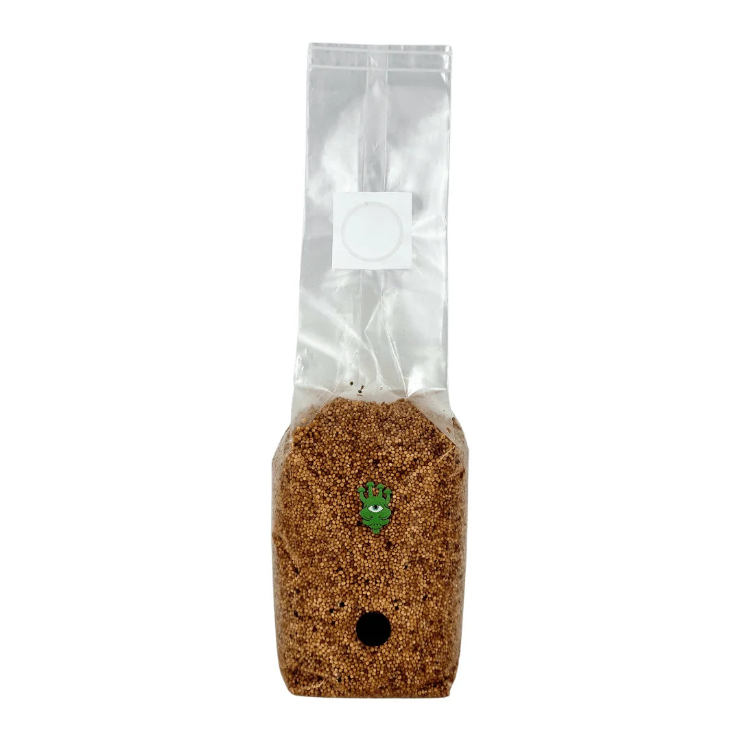 Sterilised Millet Mushroom Grain Spawn Bag