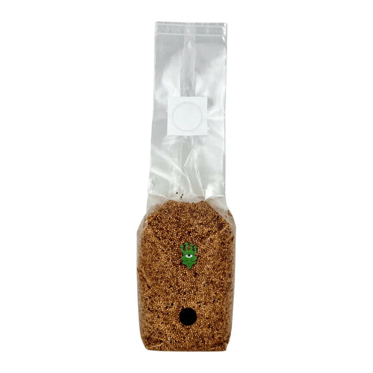 Sterilised Millet Mushroom Grain Spawn Bag