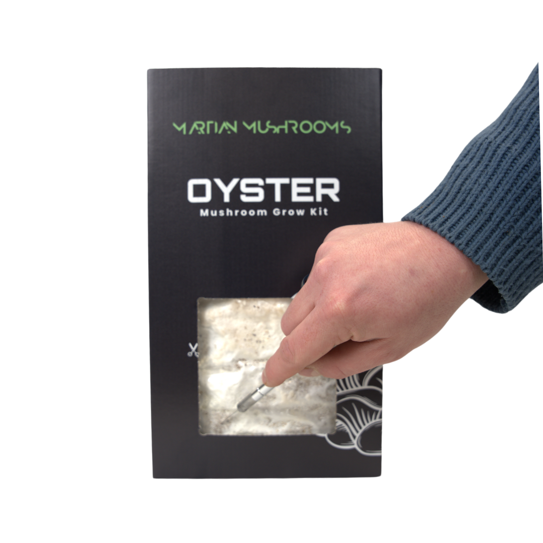 Blue Oyster Mushroom Grow Kit