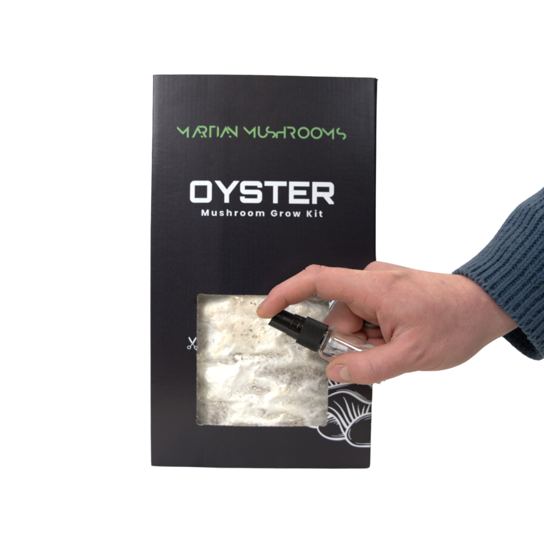 Blue Oyster Mushroom Grow Kit