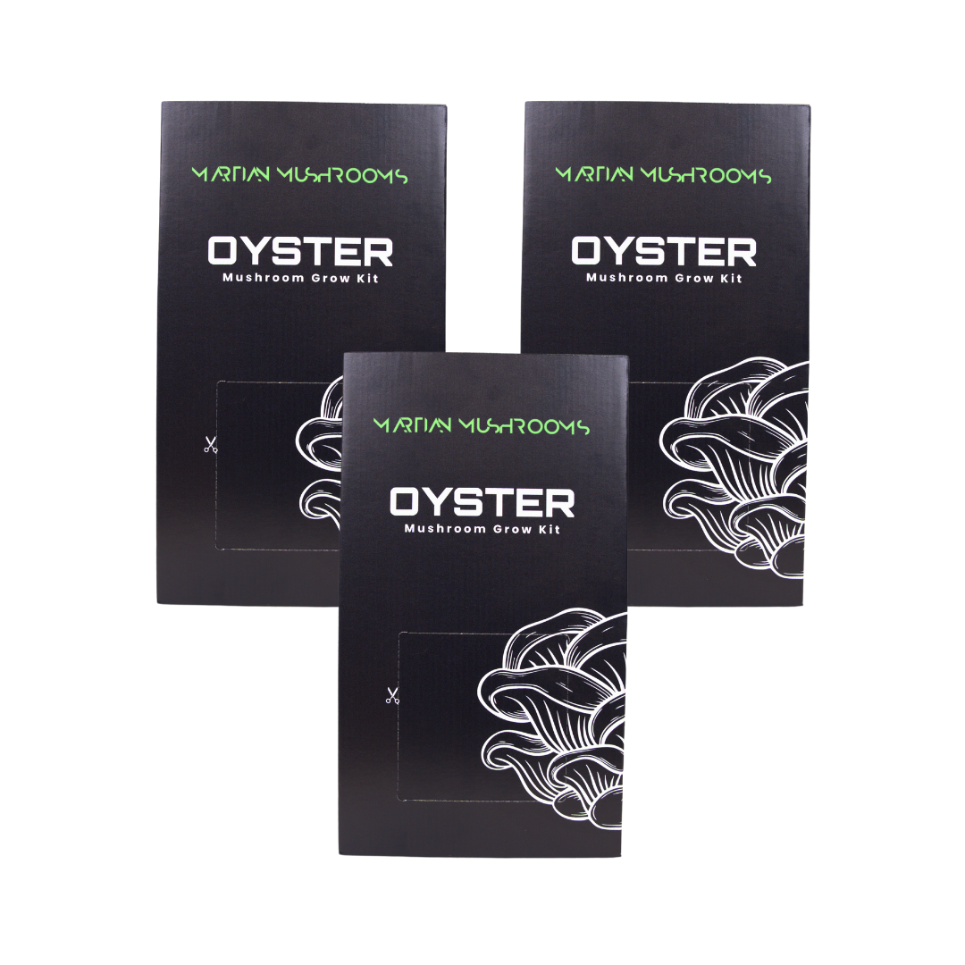 Blue Oyster Mushroom Grow Kit