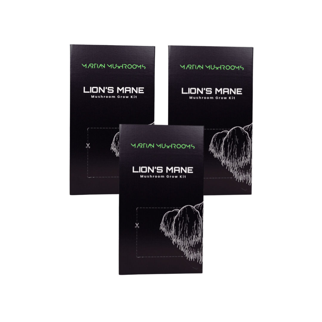 Lion's Mane Mushroom Grow Kit