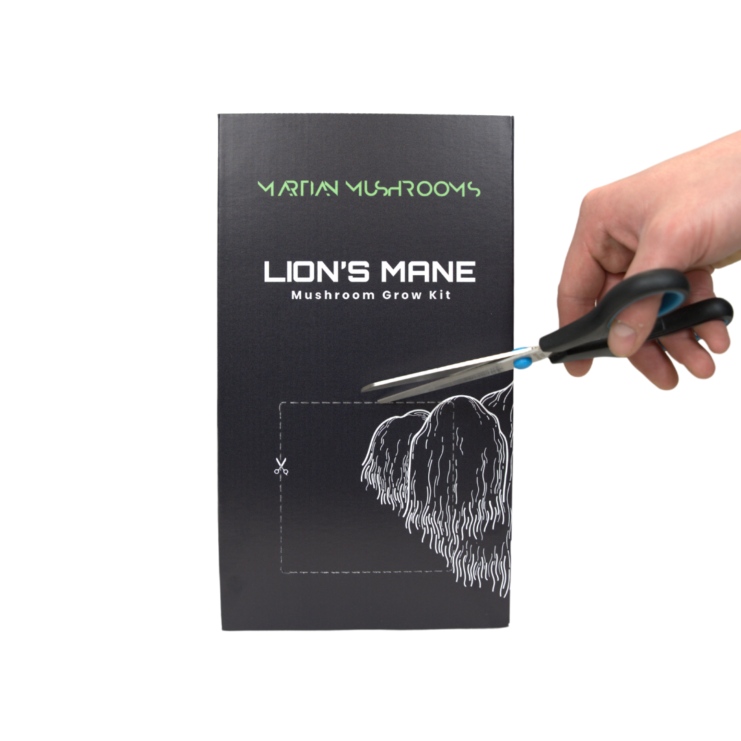 Lion's Mane Mushroom Grow Kit