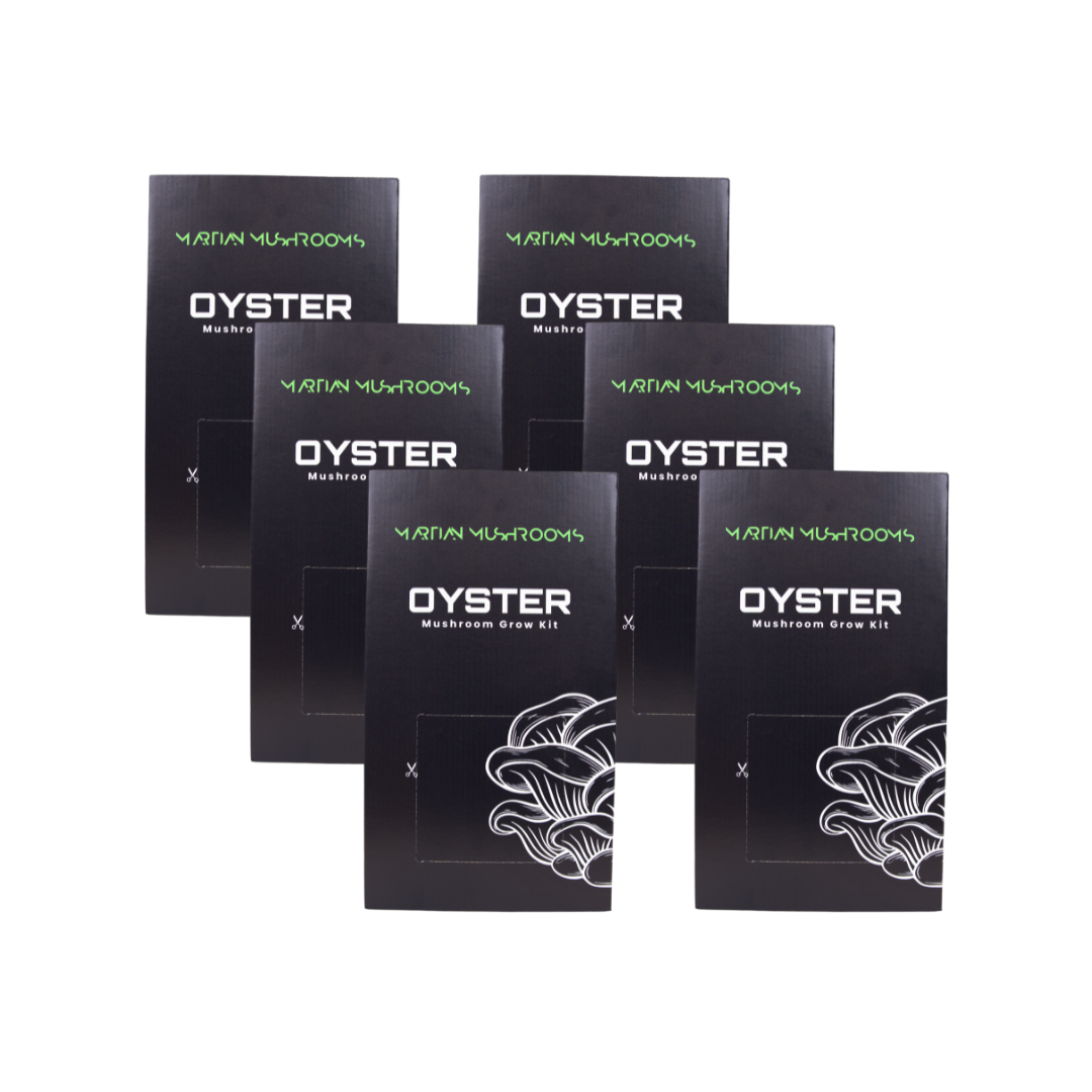 Blue Oyster Mushroom Grow Kit