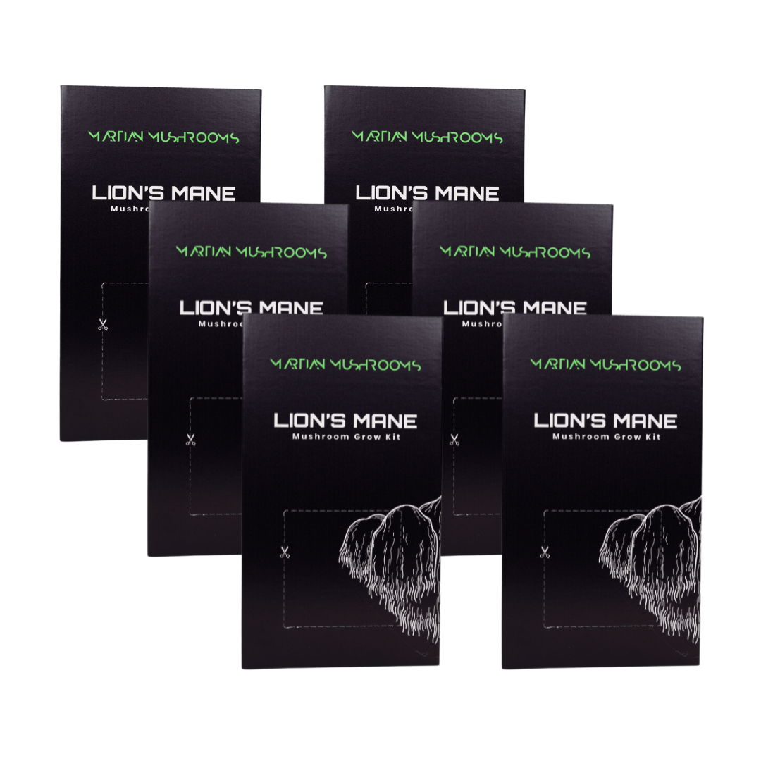 Lion's Mane Mushroom Grow Kit