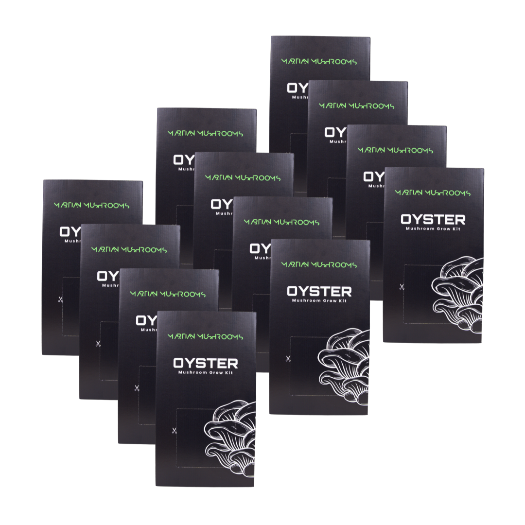 Black Pearl King Oyster Mushroom Grow Kit