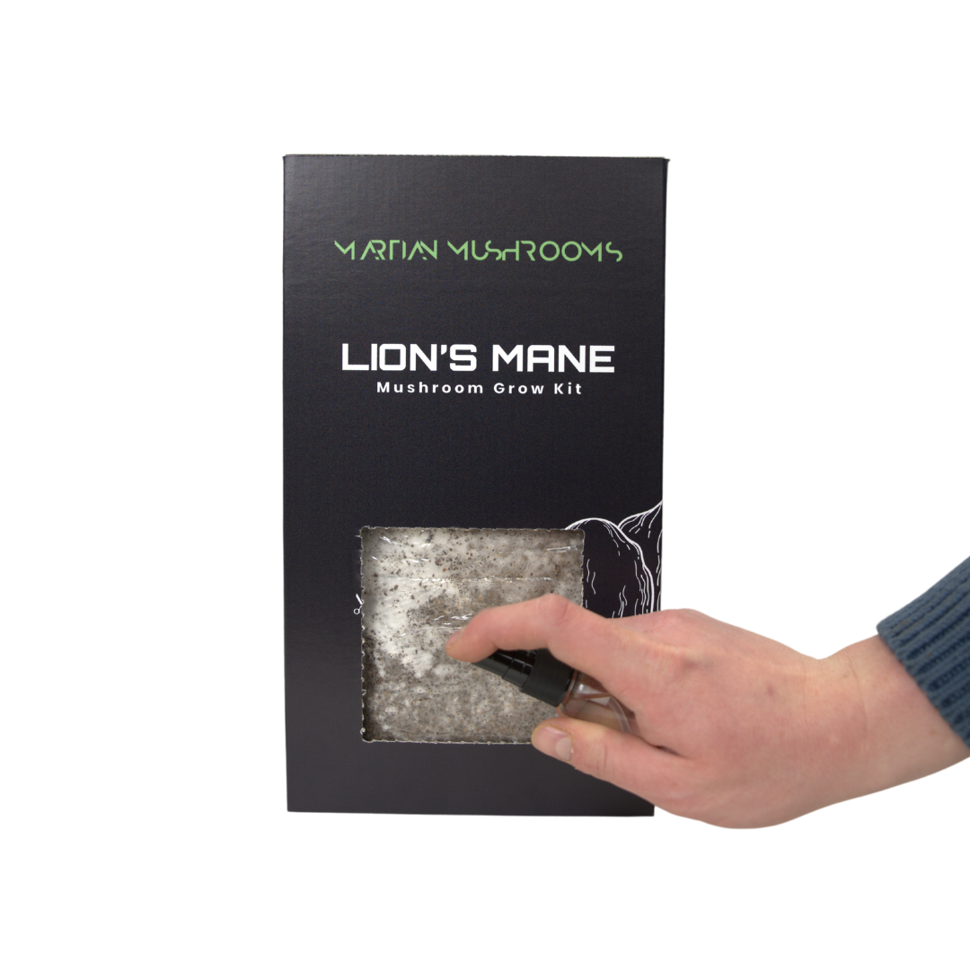 Lion's Mane Mushroom Grow Kit