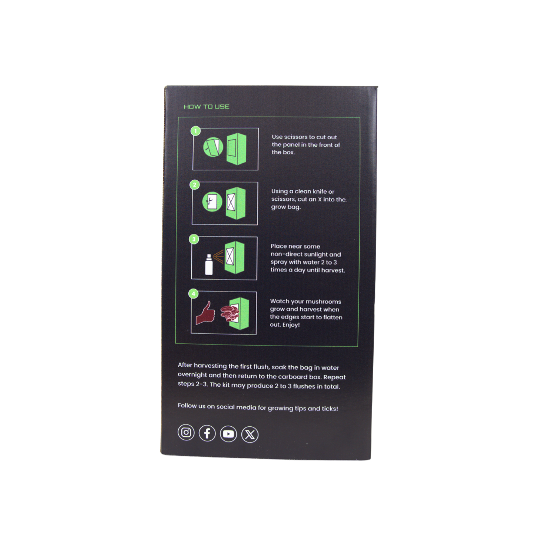 Blue Oyster Mushroom Grow Kit