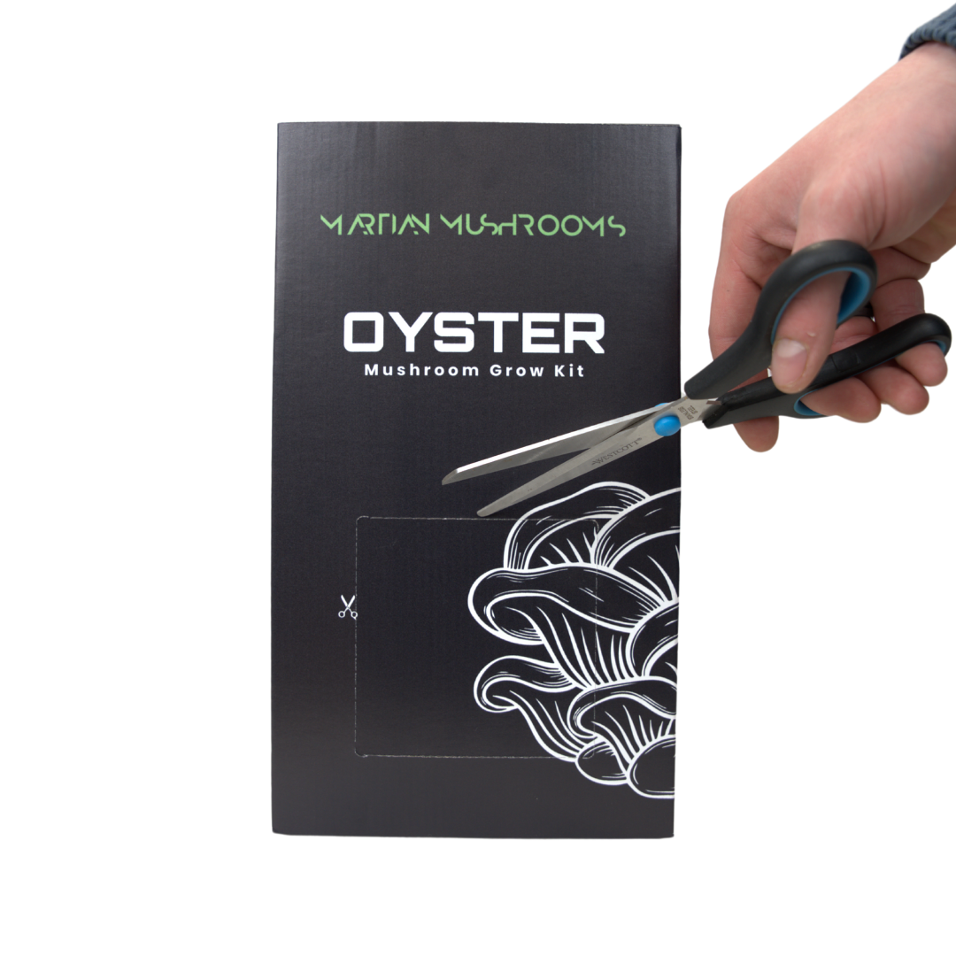 Blue Oyster Mushroom Grow Kit