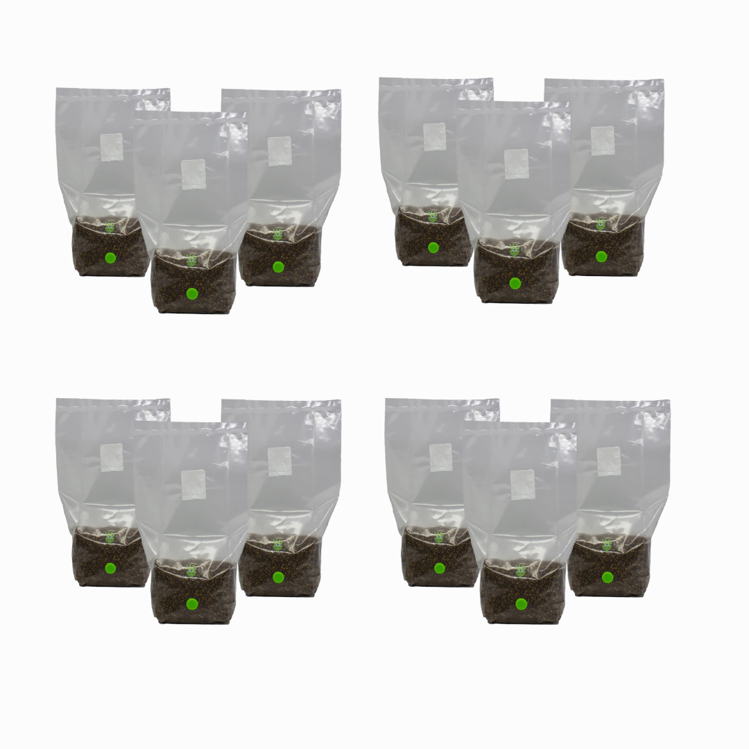 MushBag™ All-In-One Mushroom Grow Kit