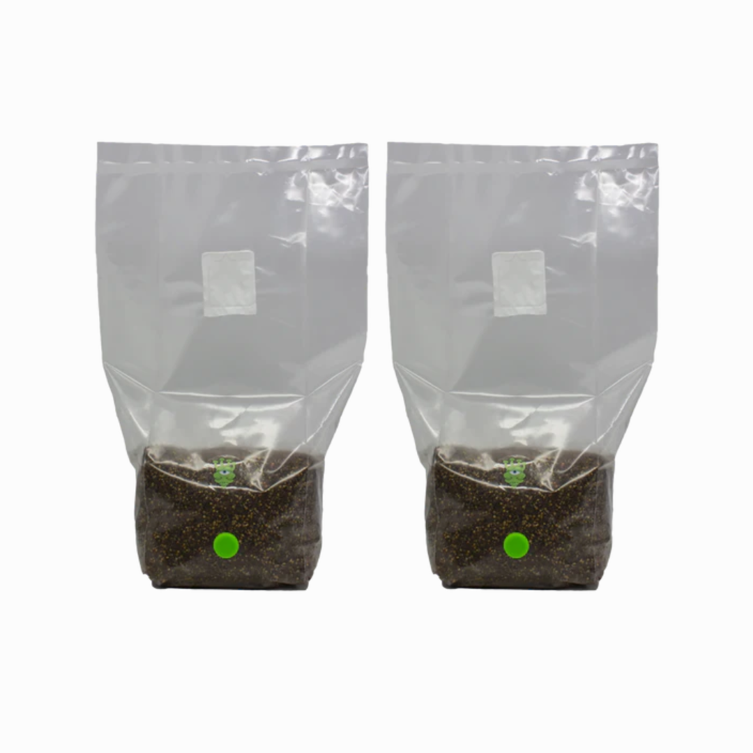 MushBag™ All-In-One Mushroom Grow Kit