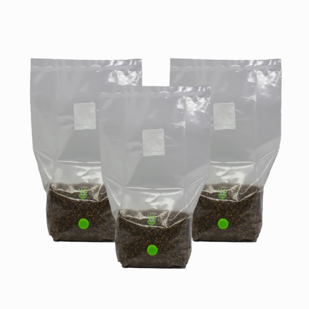 MushBag™ All-In-One Mushroom Grow Kit