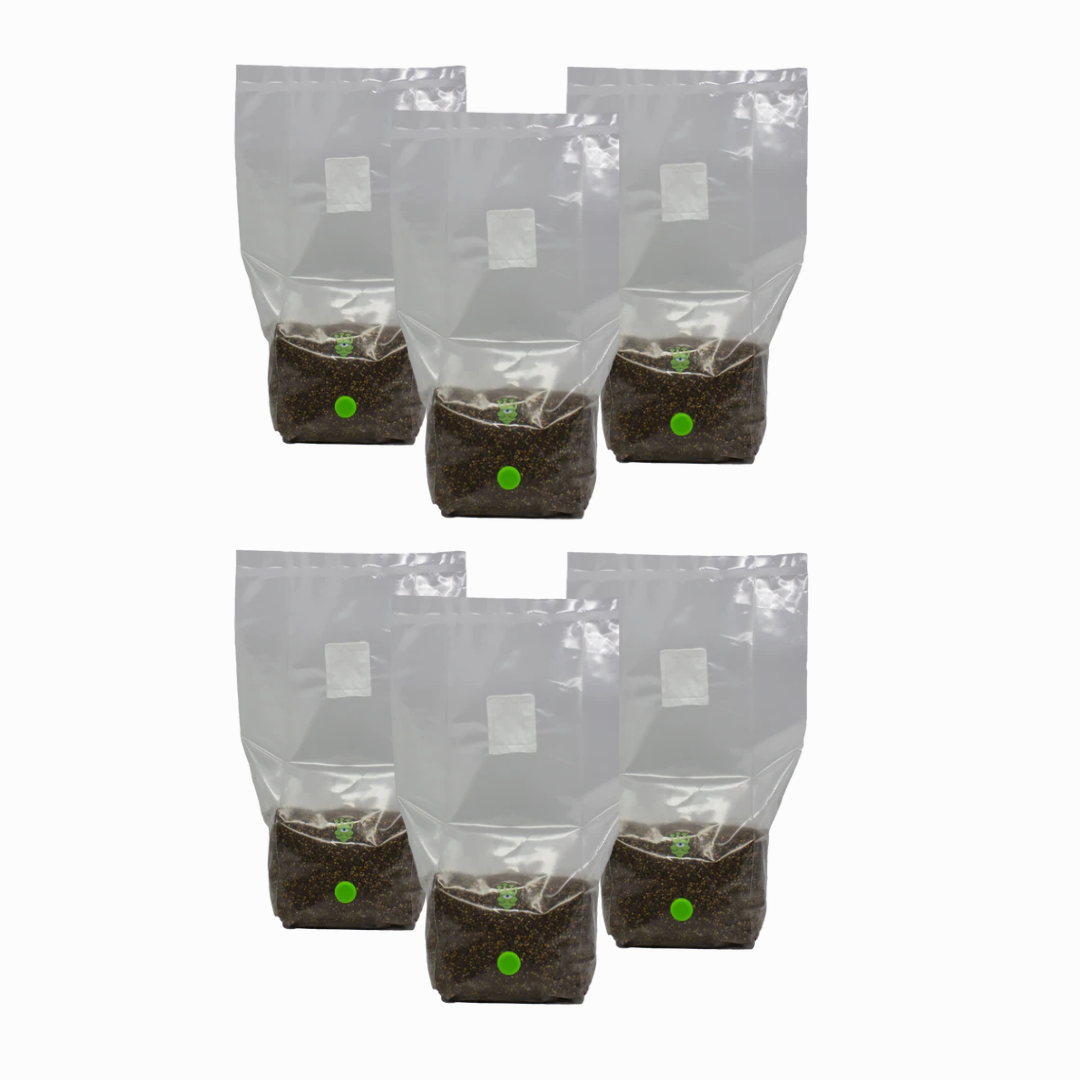 MushBag™ All-In-One Mushroom Grow Kit