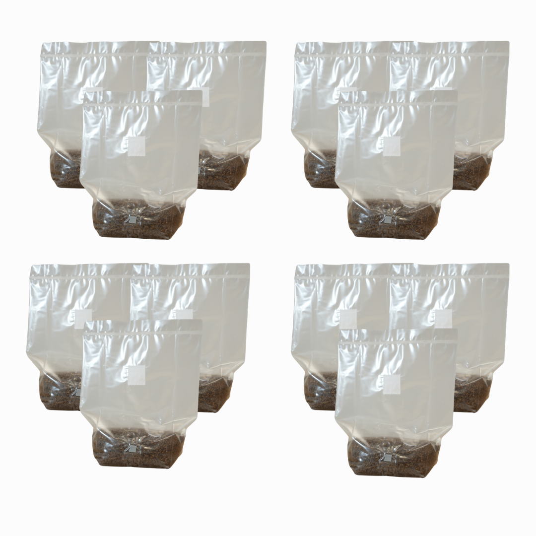 MushBag™ All-In-One Mushroom Grow Kit