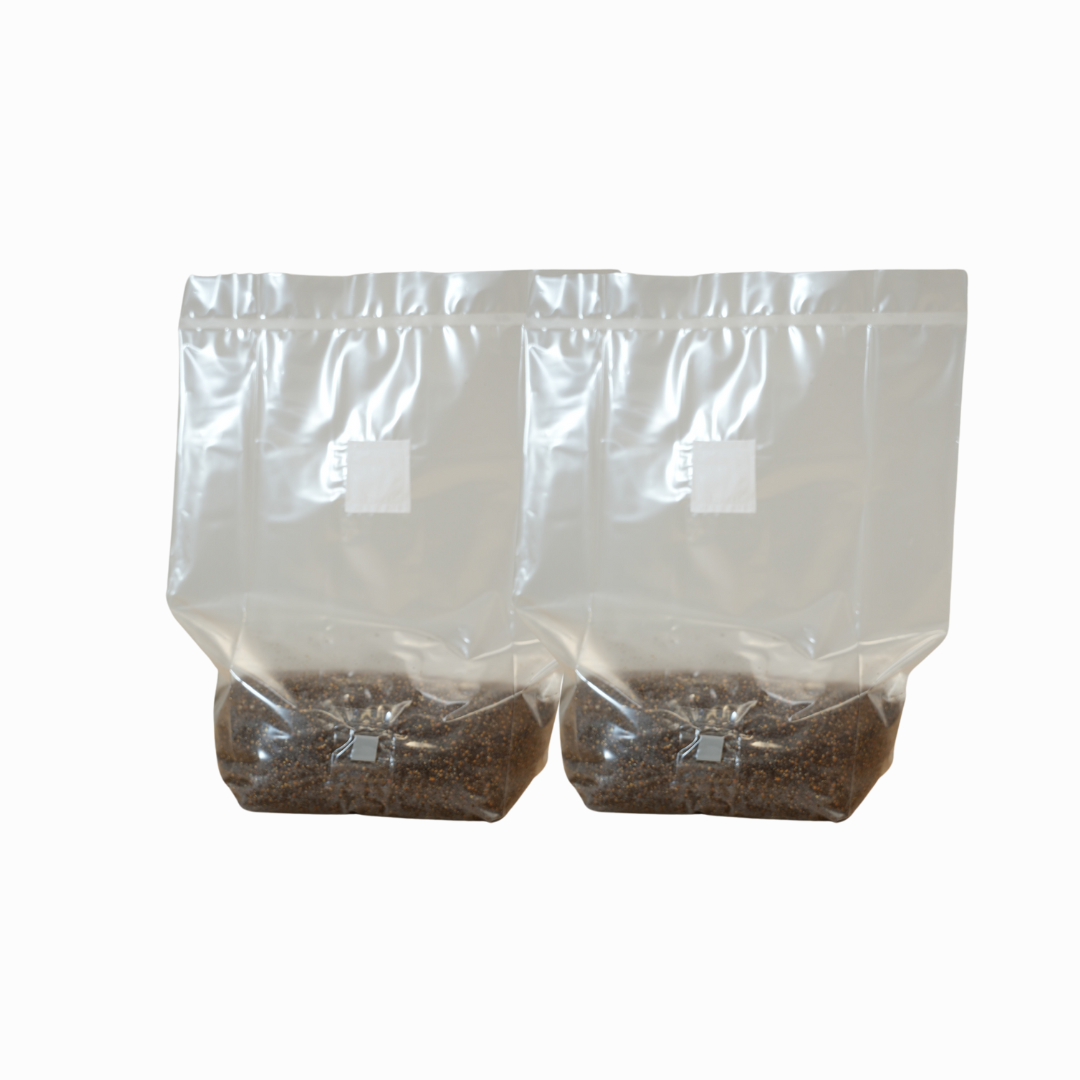 MushBag™ All-In-One Mushroom Grow Kit
