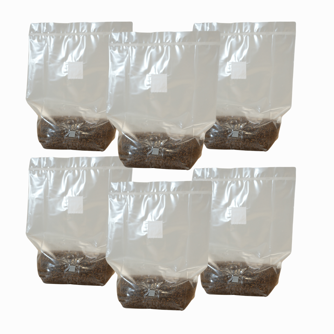 MushBag™ All-In-One Mushroom Grow Kit