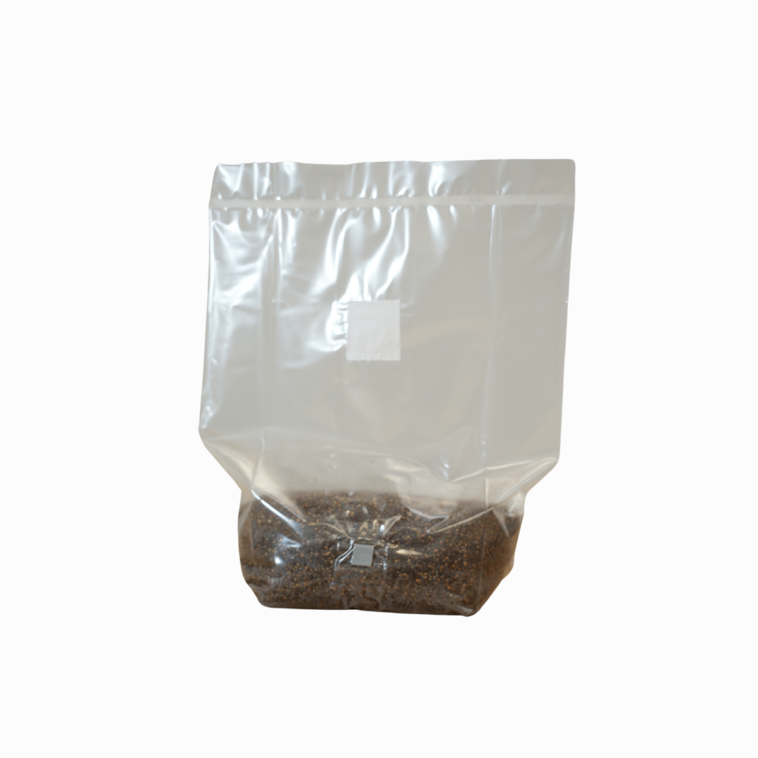 MushBag™ All-In-One Mushroom Grow Kit