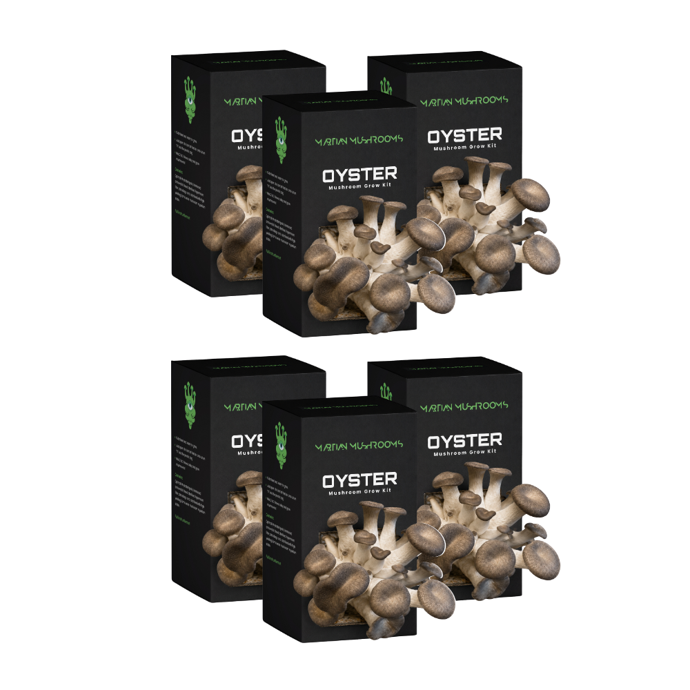 Black Pearl King Oyster Mushroom Grow Kit