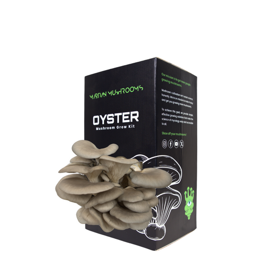 Blue Oyster Mushroom Grow Kit