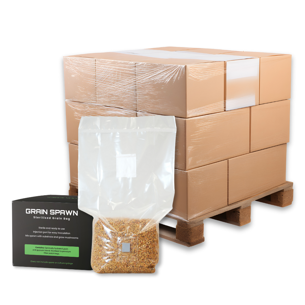 Bulk Sterilised Millet Mushroom Grain Spawn Bag