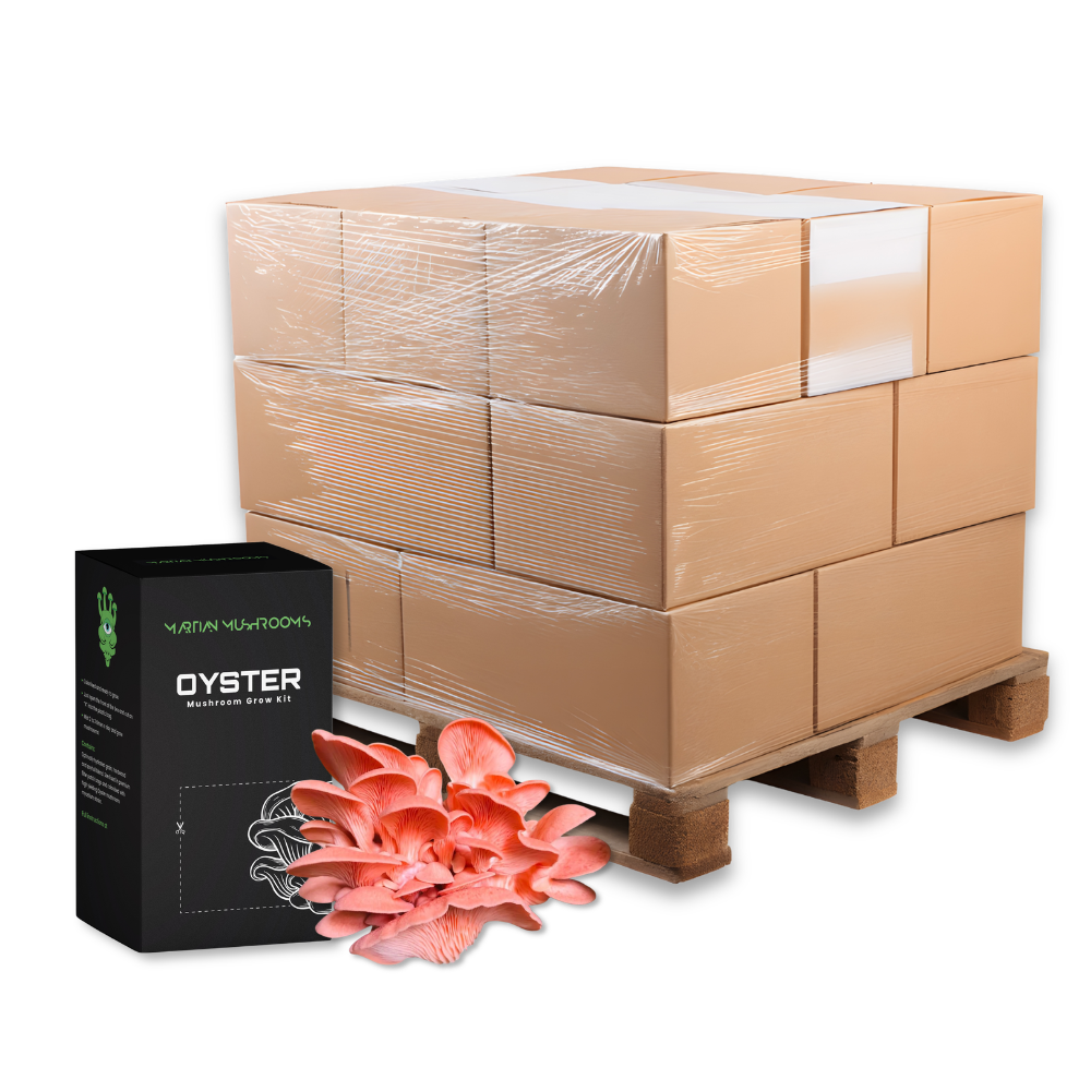 Bulk Pink Oyster Mushroom Grow Kit