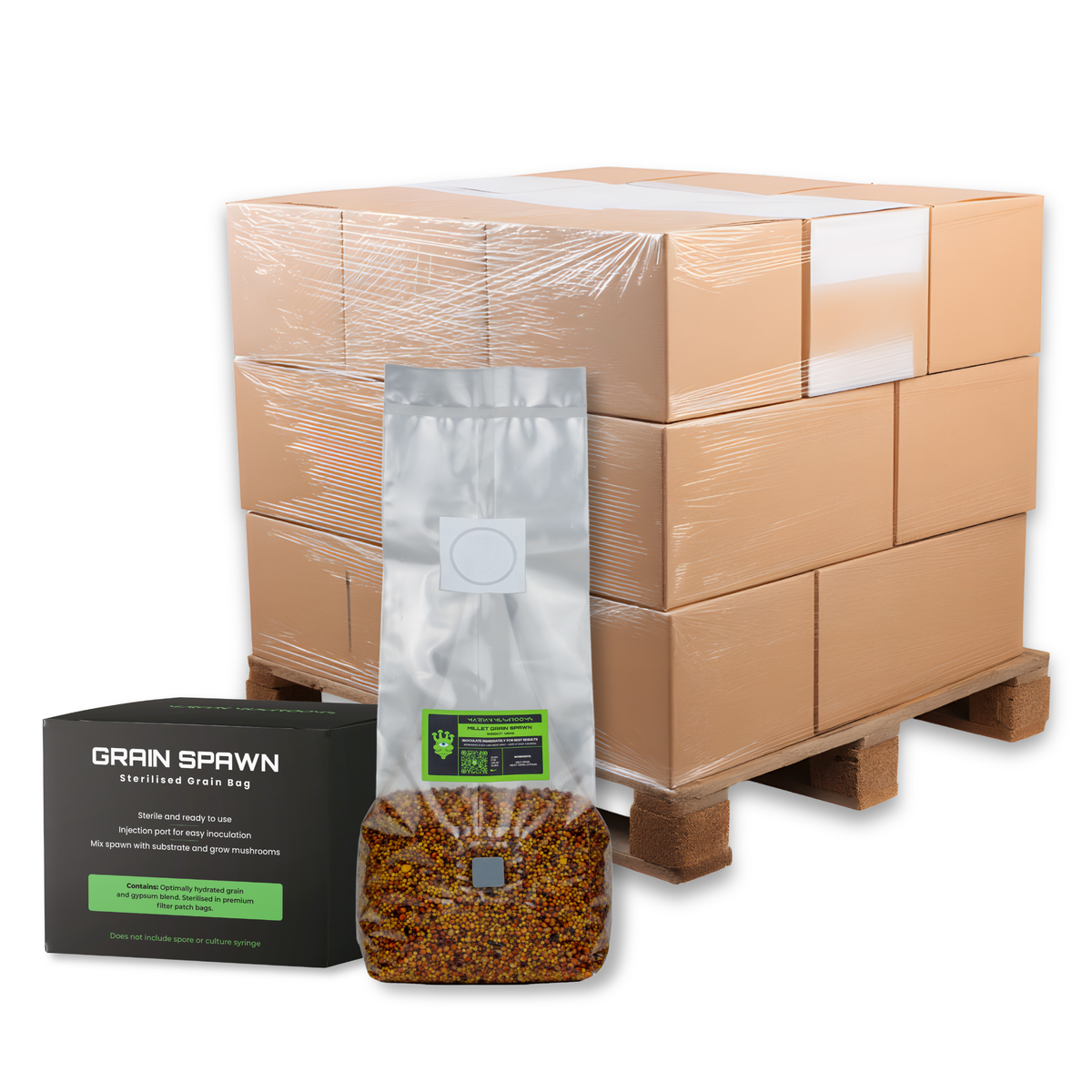 Bulk Sterilised Millet Mushroom Grain Spawn Bag