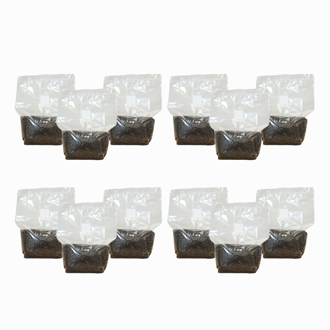 Sterilised CVG Mushroom Substrate Bag