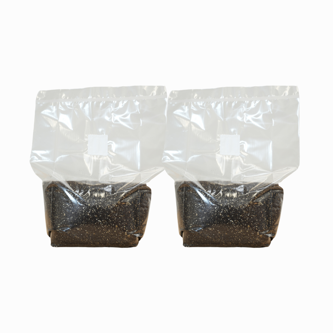 Sterilised CVG Mushroom Substrate Bag