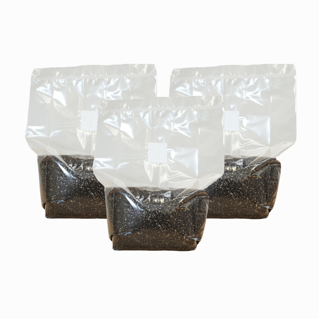 Sterilised CVG Mushroom Substrate Bag