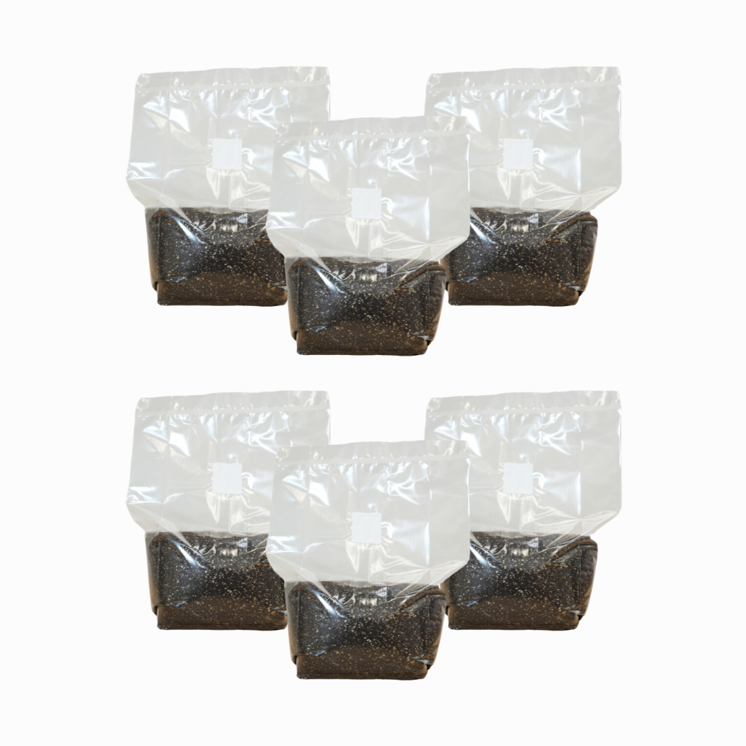 Sterilised CVG Mushroom Substrate Bag
