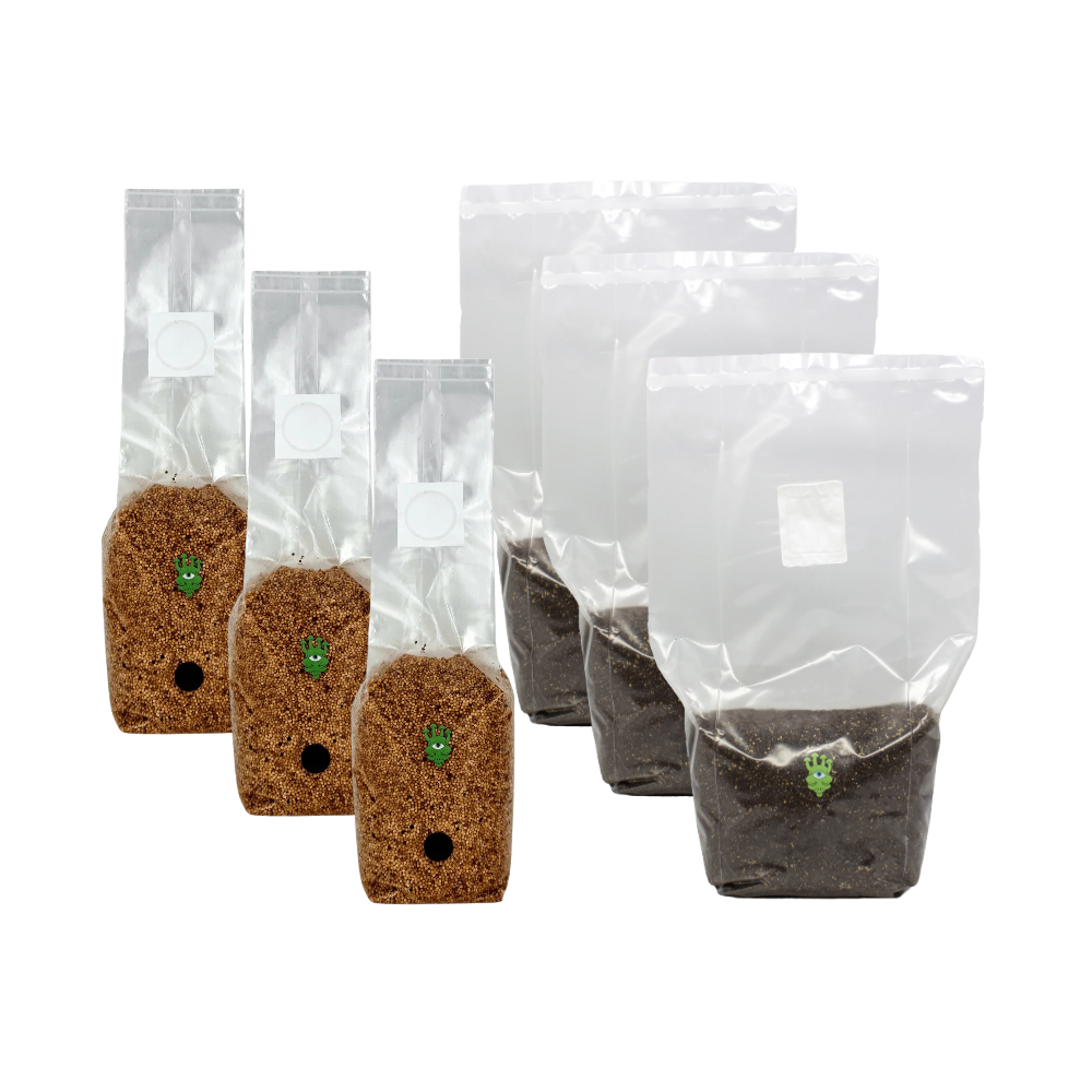 Millet Grain Spawn and CVG Mushroom Substrate Bundle