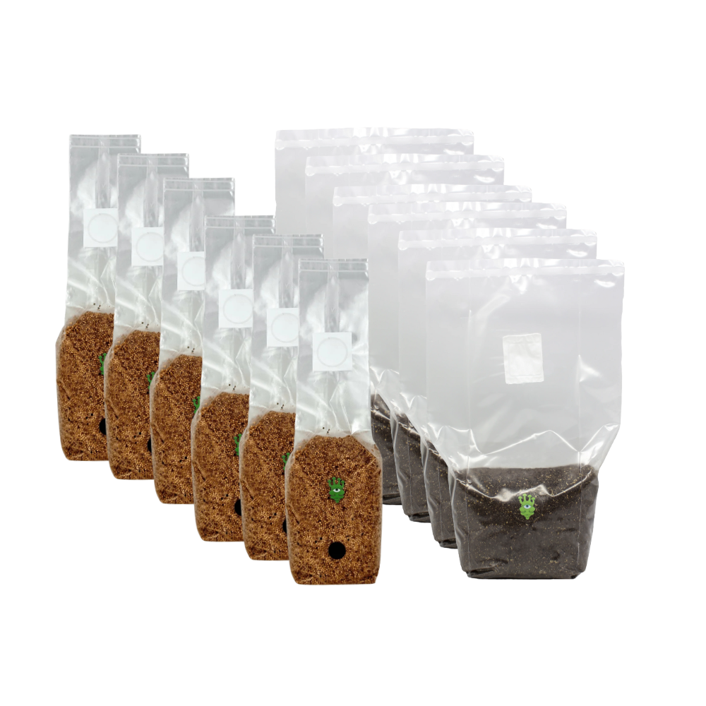 Millet Grain Spawn and CVG Mushroom Substrate Bundle