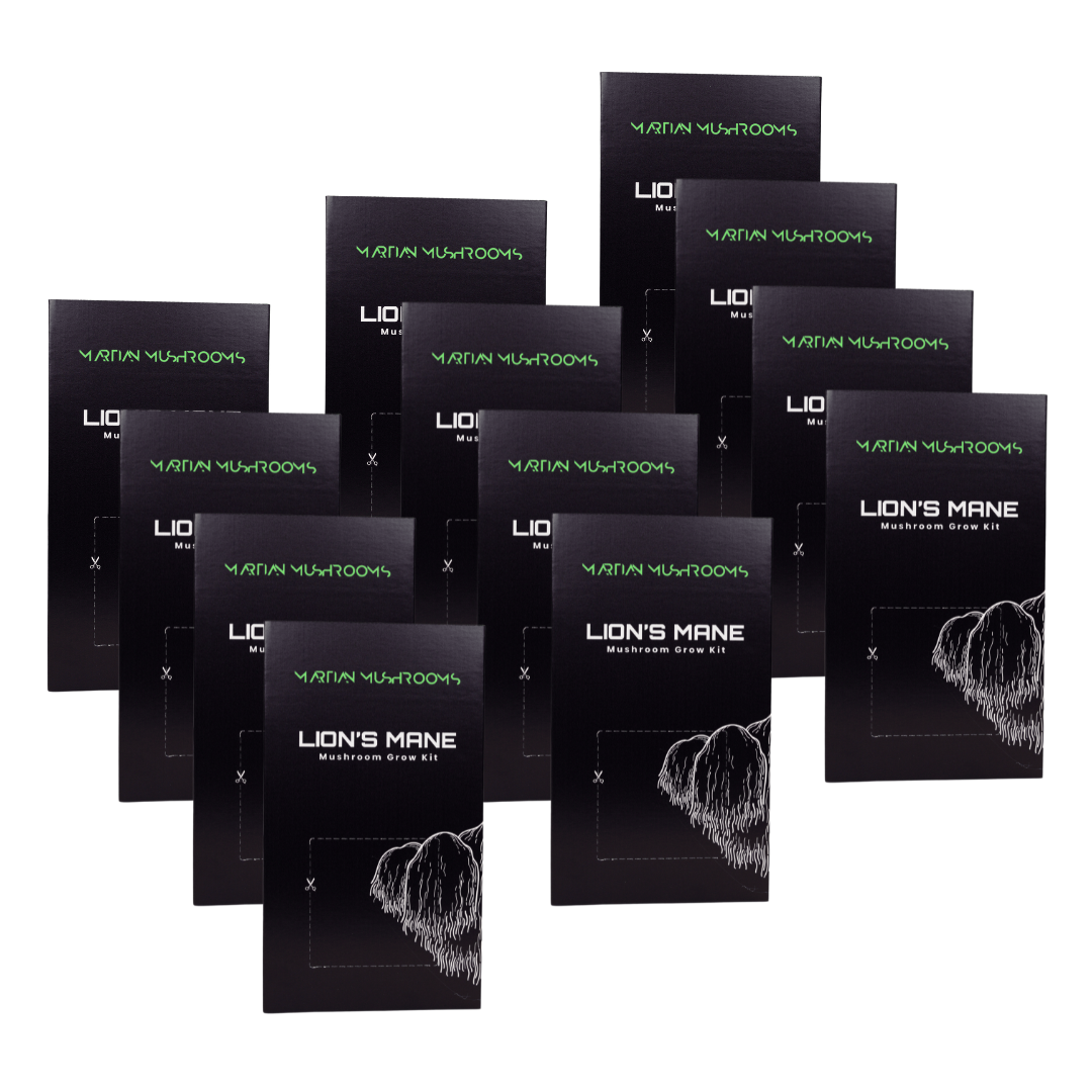 Lion's Mane Mushroom Grow Kit
