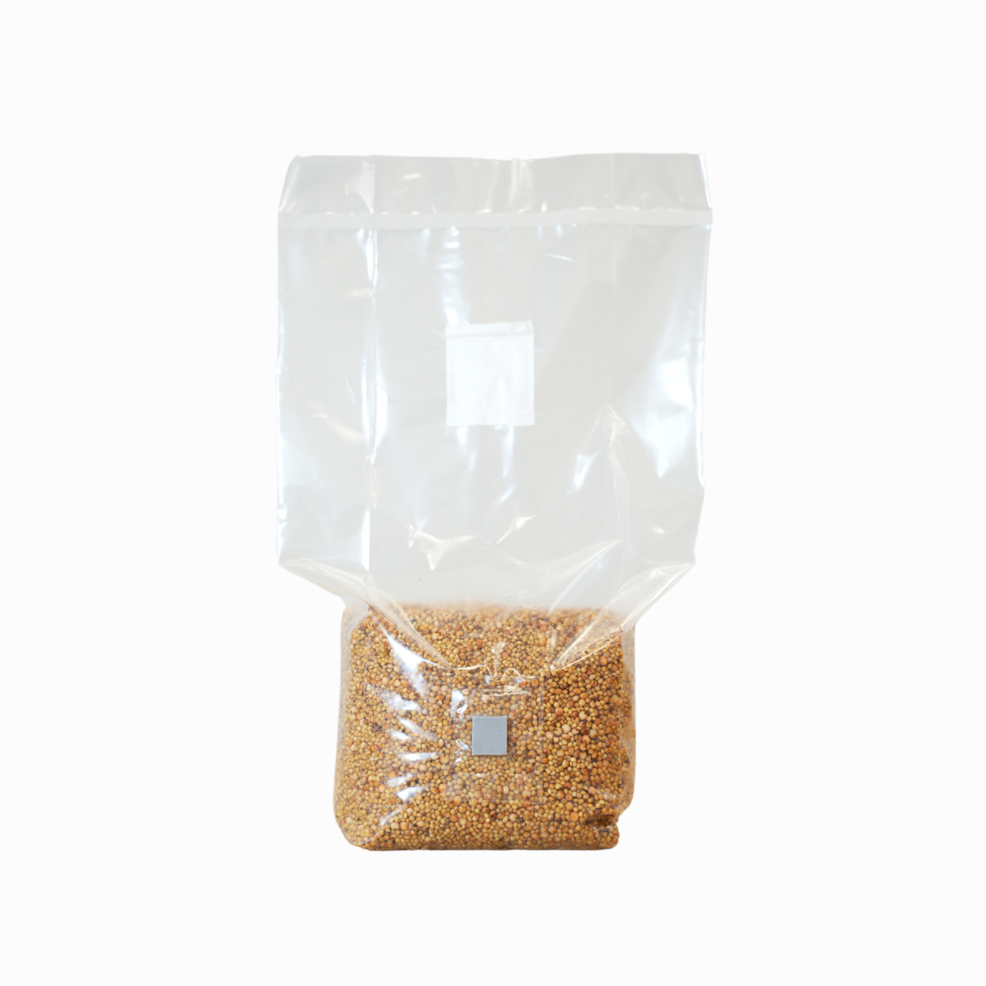 Sterilised Millet Mushroom Grain Spawn Bag