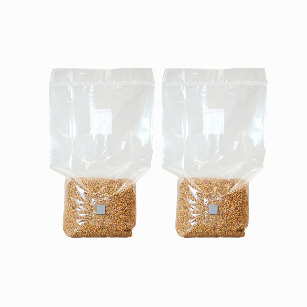 Sterilised Millet Mushroom Grain Spawn Bag