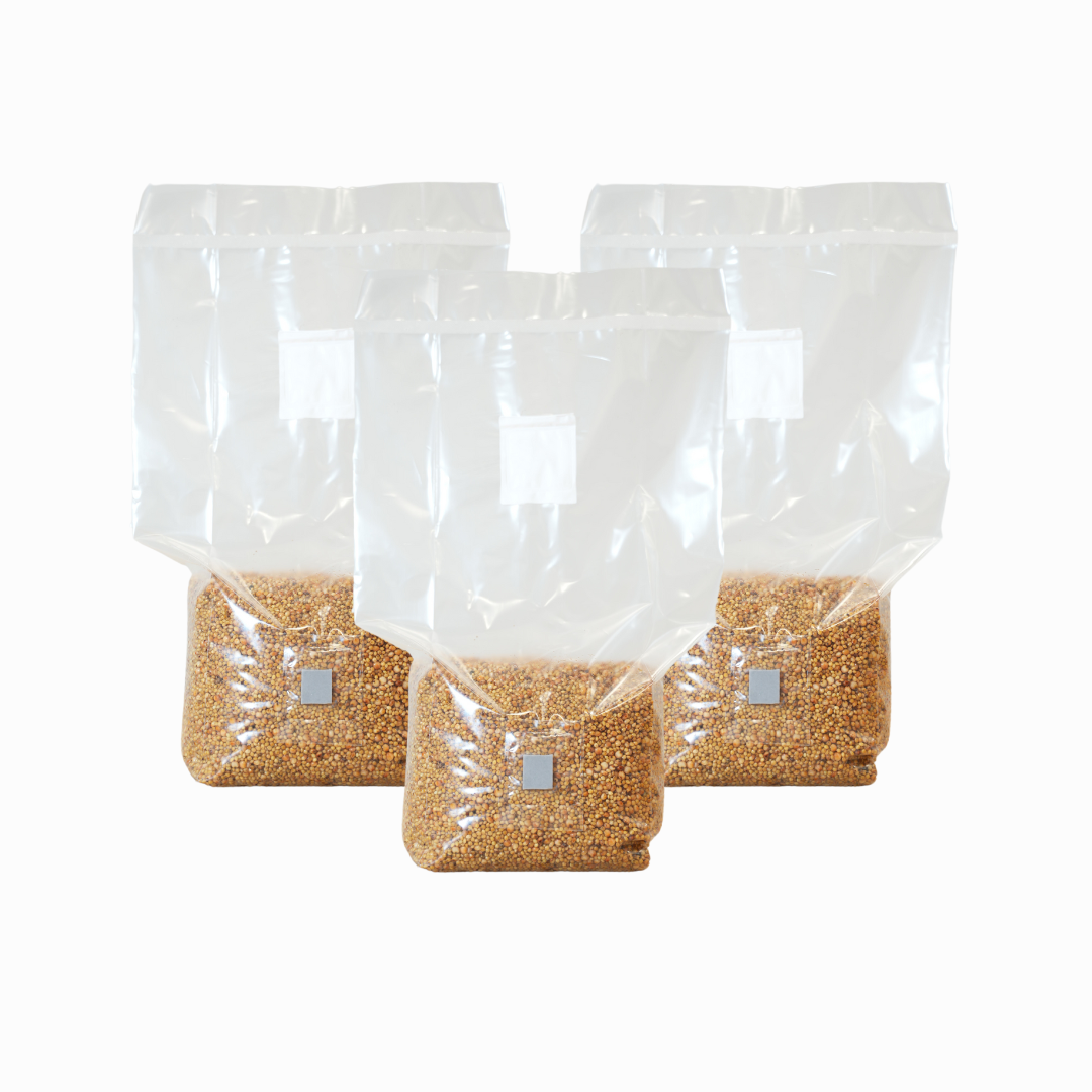 Sterilised Millet Mushroom Grain Spawn Bag