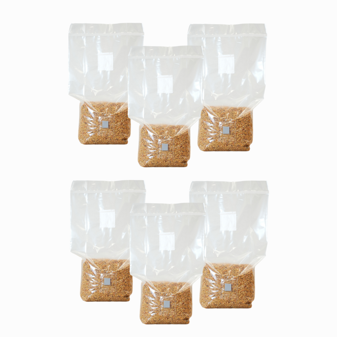 Sterilised Millet Mushroom Grain Spawn Bag