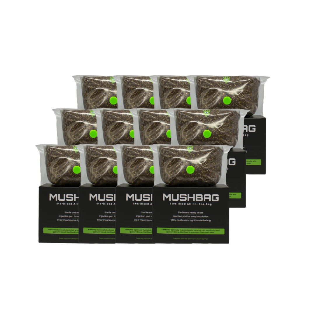 MushBag™ All-In-One Mushroom Grow Kit