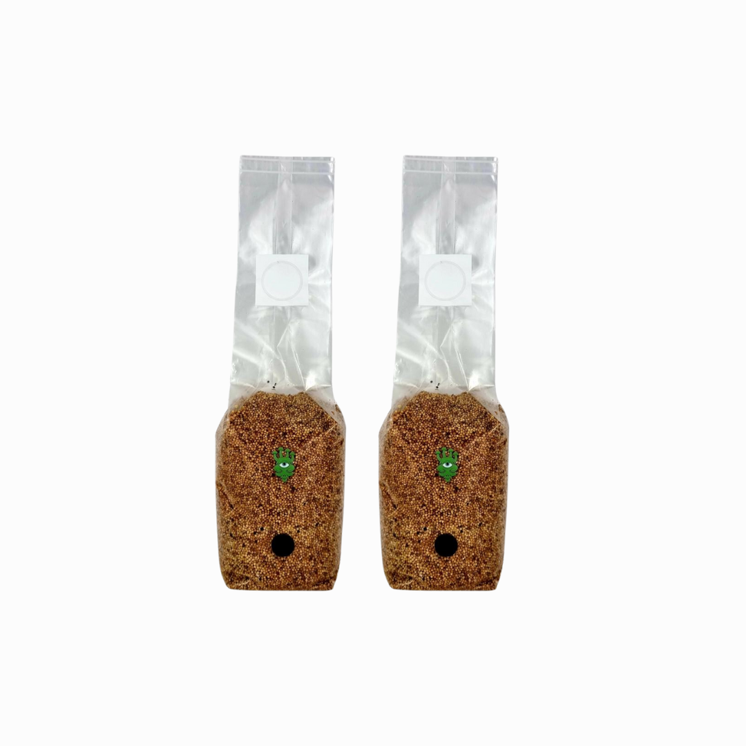 Sterilised Millet Mushroom Grain Spawn Bag