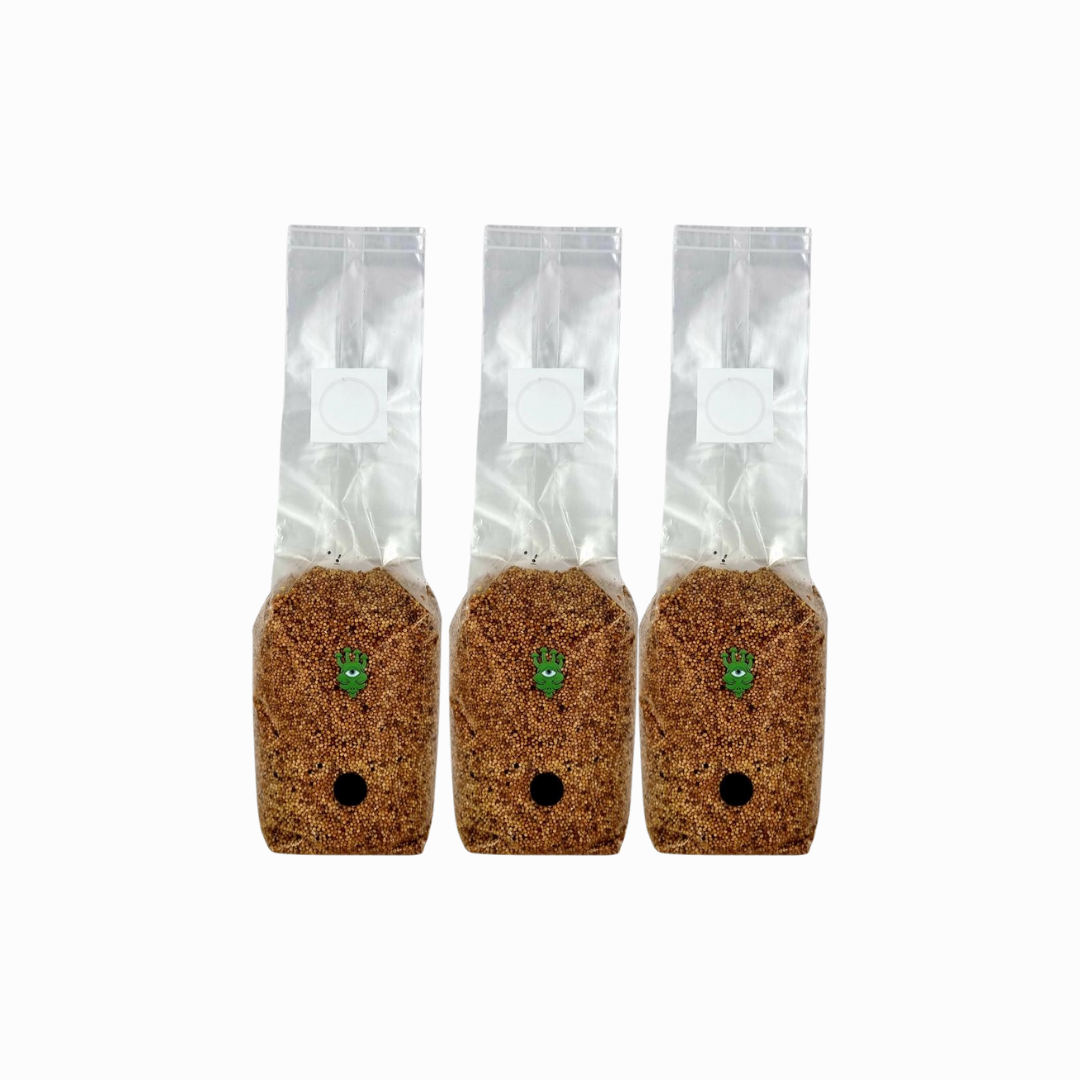 Sterilised Millet Mushroom Grain Spawn Bag