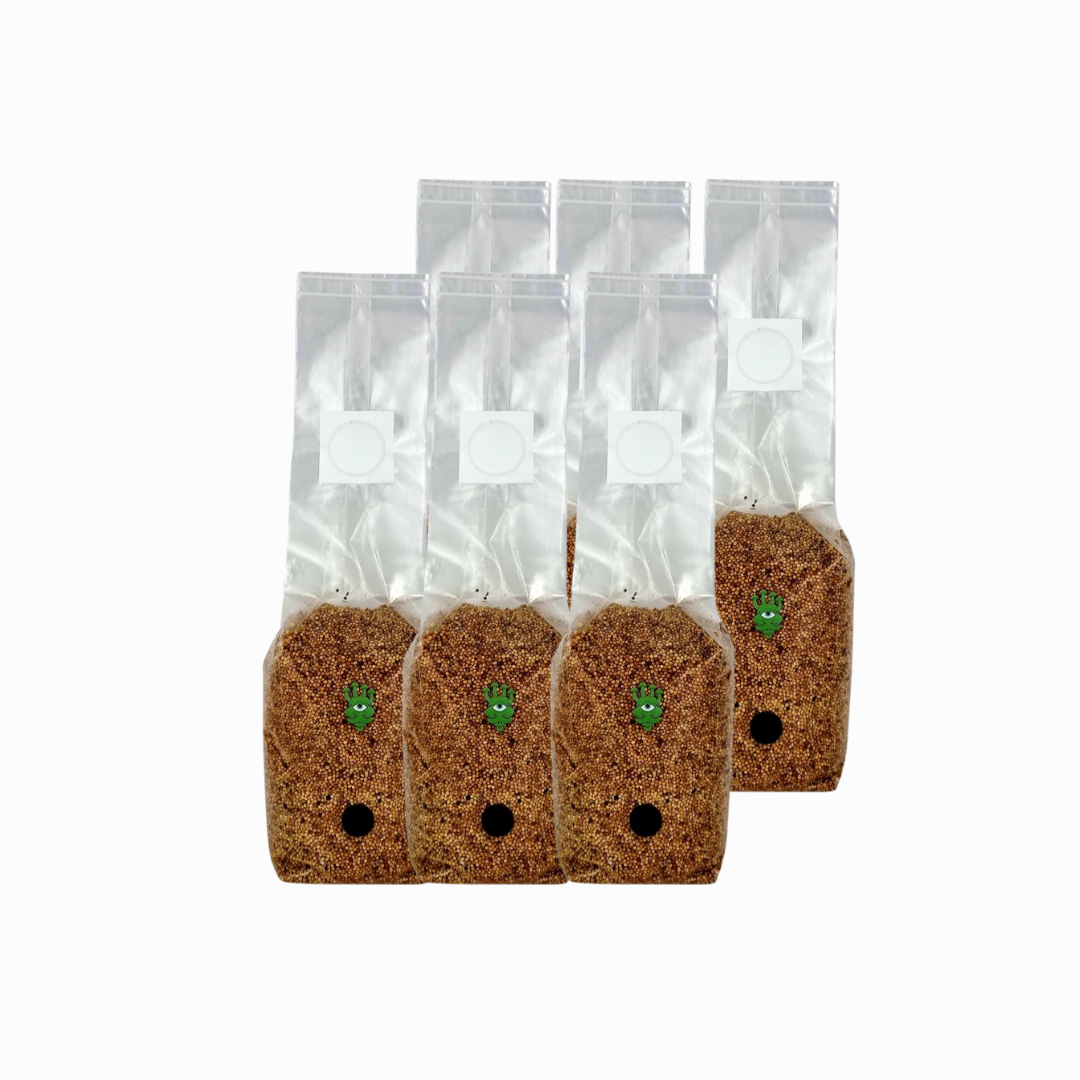 Sterilised Millet Mushroom Grain Spawn Bag