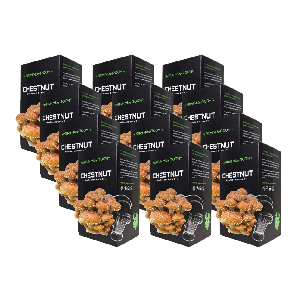 Speckled Chestnut Mushroom Grow Kit