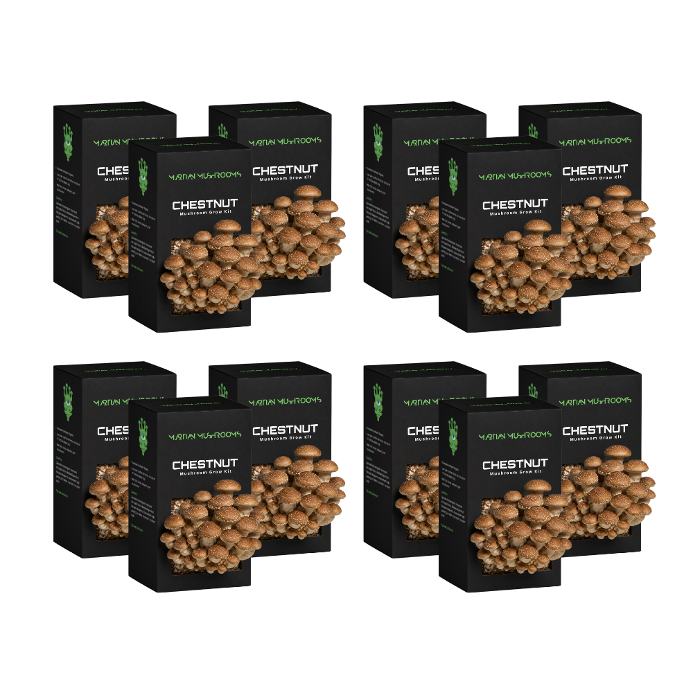 Speckled Chestnut Mushroom Grow Kit