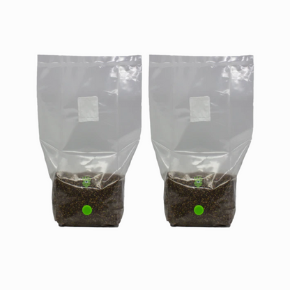 MushBag™ All-In-One Mushroom Grow Kit - CVG