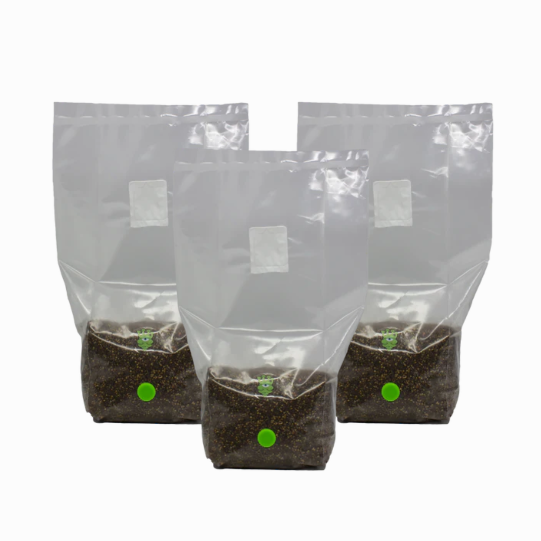 MushBag™ All-In-One Mushroom Grow Kit - CVG