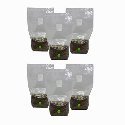 MushBag™ All-In-One Mushroom Grow Kit - CVG