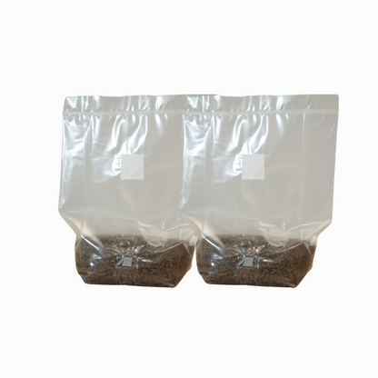 MushBag™ All-In-One Mushroom Grow Kit - CVG