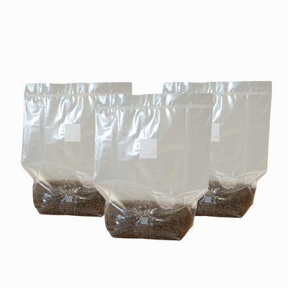 MushBag™ All-In-One Mushroom Grow Kit - CVG