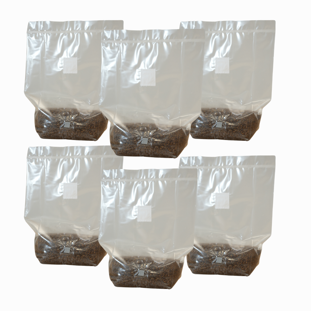 All-In-One Grow Bag - MS-4 Mix