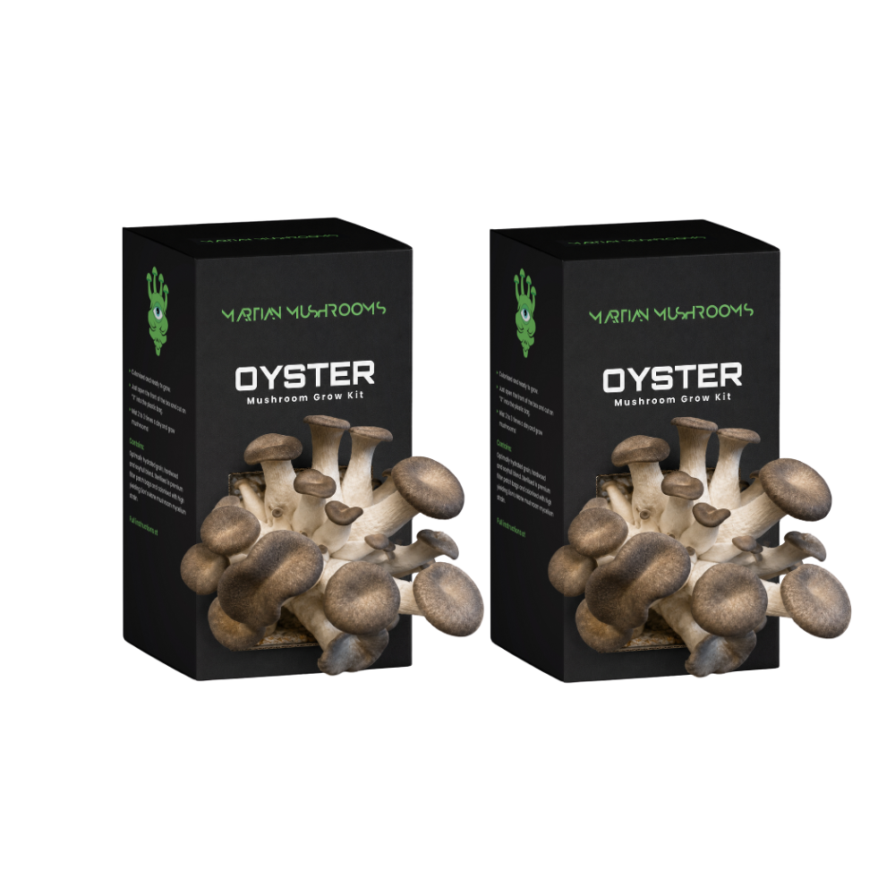 Black Pearl King Oyster Mushroom Grow Kit